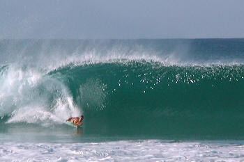 boogie boarder